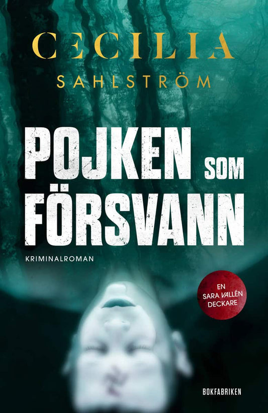 Sahlström, Cecilia | Pojken som försvann