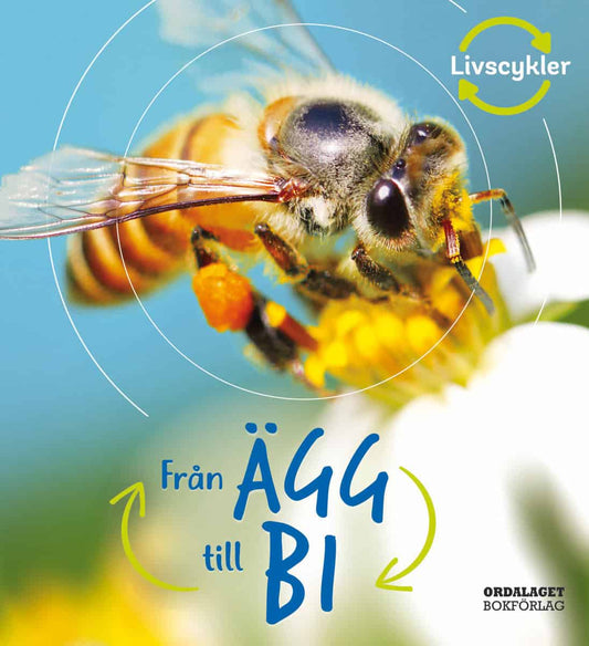 De la Bédoyère, Camilla | Från ägg till bi