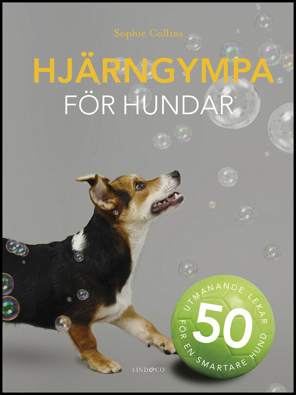 Collins, Sophie | Hjärngympa för hundar