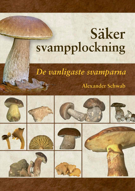 Schwab, Alexander | Säker svampplockning : De vanligaste svamparna