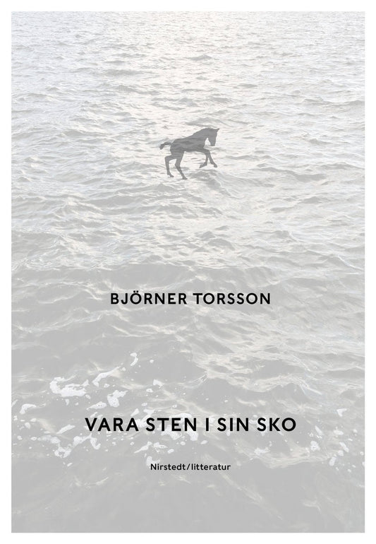 Torsson, Björner | Vara sten i sin sko
