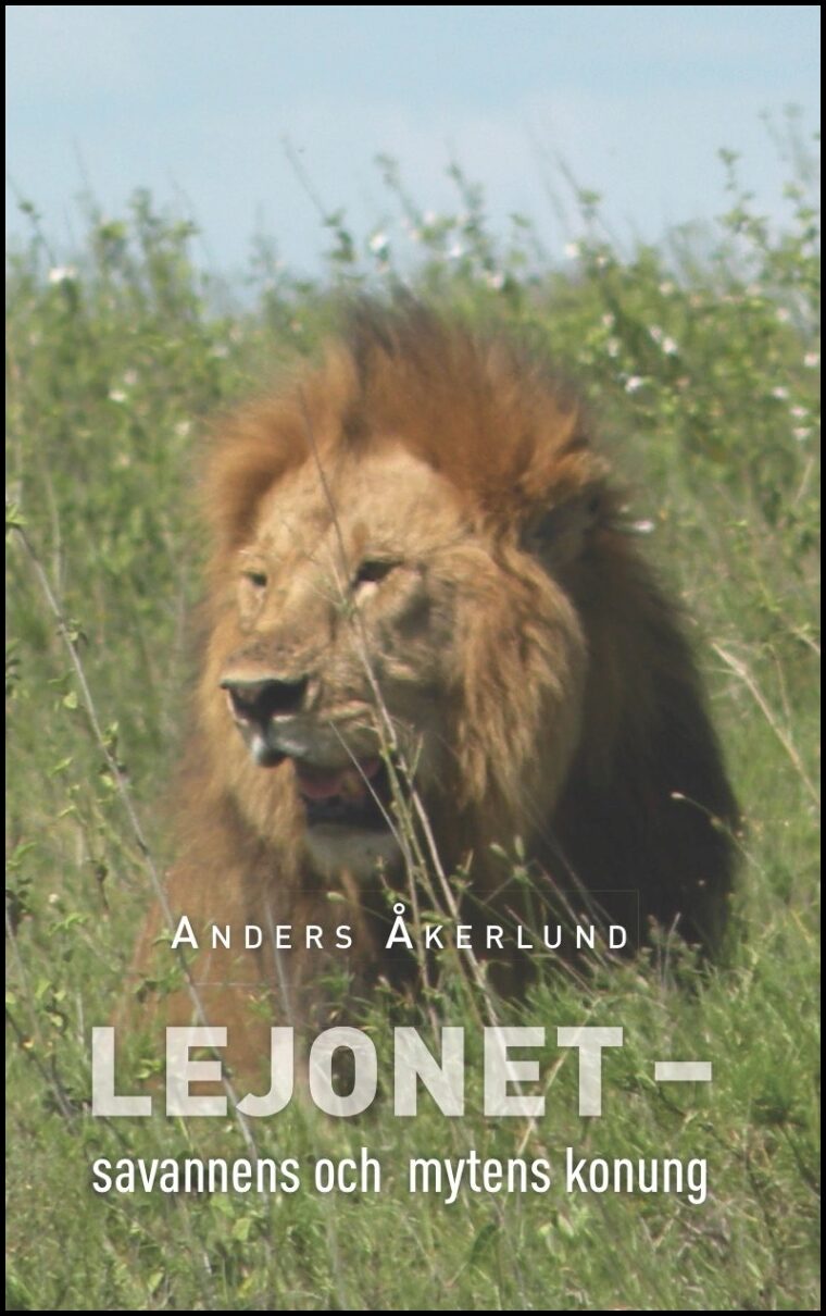 Åkerlund, Anders | Lejonet : Savannens och mytens konung