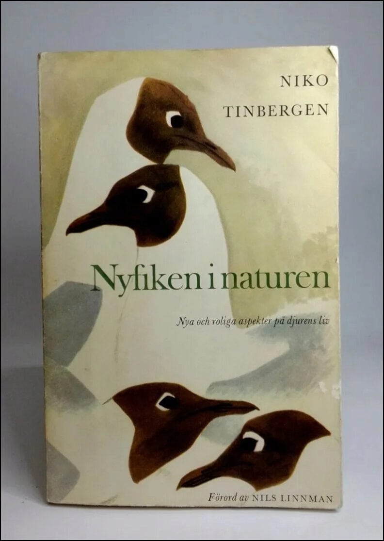 Tinbergen, Niko | Nyfiken i naturen : Nya och roliga aspekter på djurens liv