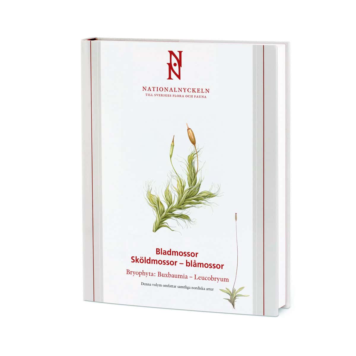 Hallingbäck, Tomas | Bladmossor : Sköldmossor - blåmossor. Bryophyta : buxbaumia - leucobryum