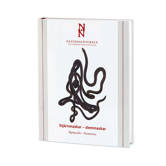 Strand, Malin | Sundberg, Per | Stjärnmaskar : Slemmaskar. Sipuncula - Nemertea