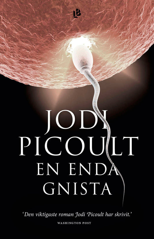 Picoult, Jodi | En enda gnista