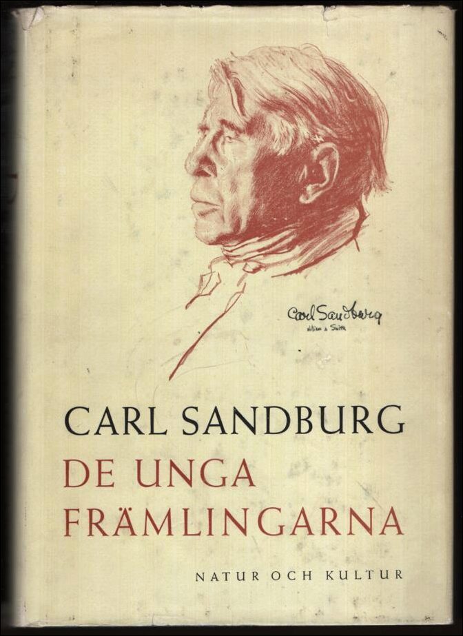 Sandburg, Carl | De unga främlingarna