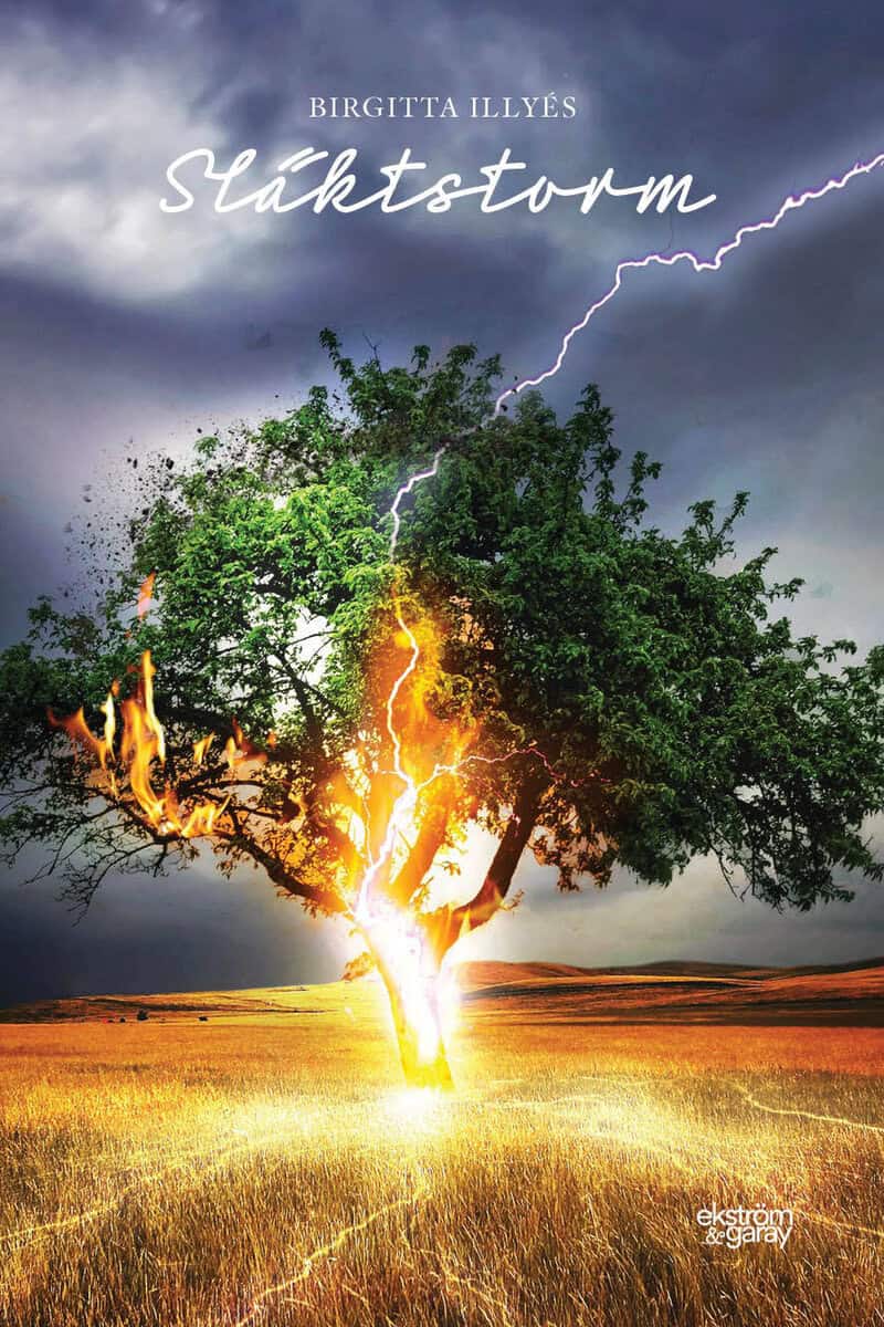 Illyés, Birgitta | Släktstorm