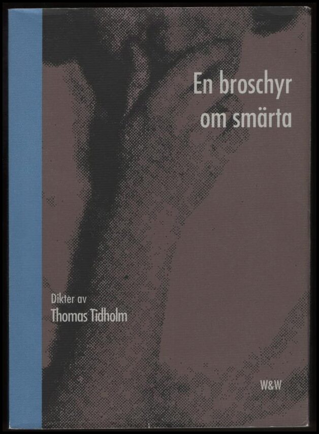 Tidholm, Thomas | En broschyr om smärta