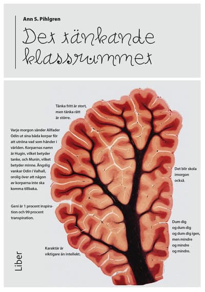 S. Pihlgren, Ann | Det tänkande klassrummet