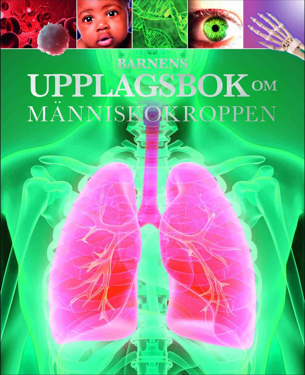 Hibbert, Clare | Barnens uppslagsbok om människokroppen