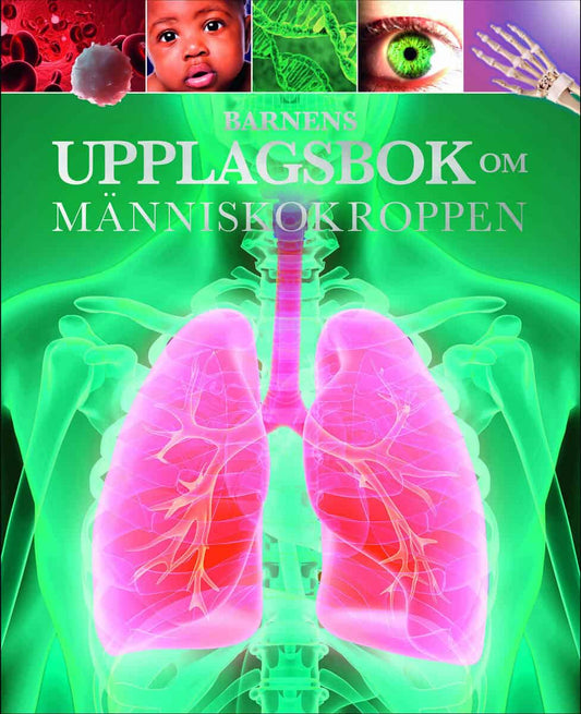 Hibbert, Clare | Barnens uppslagsbok om människokroppen