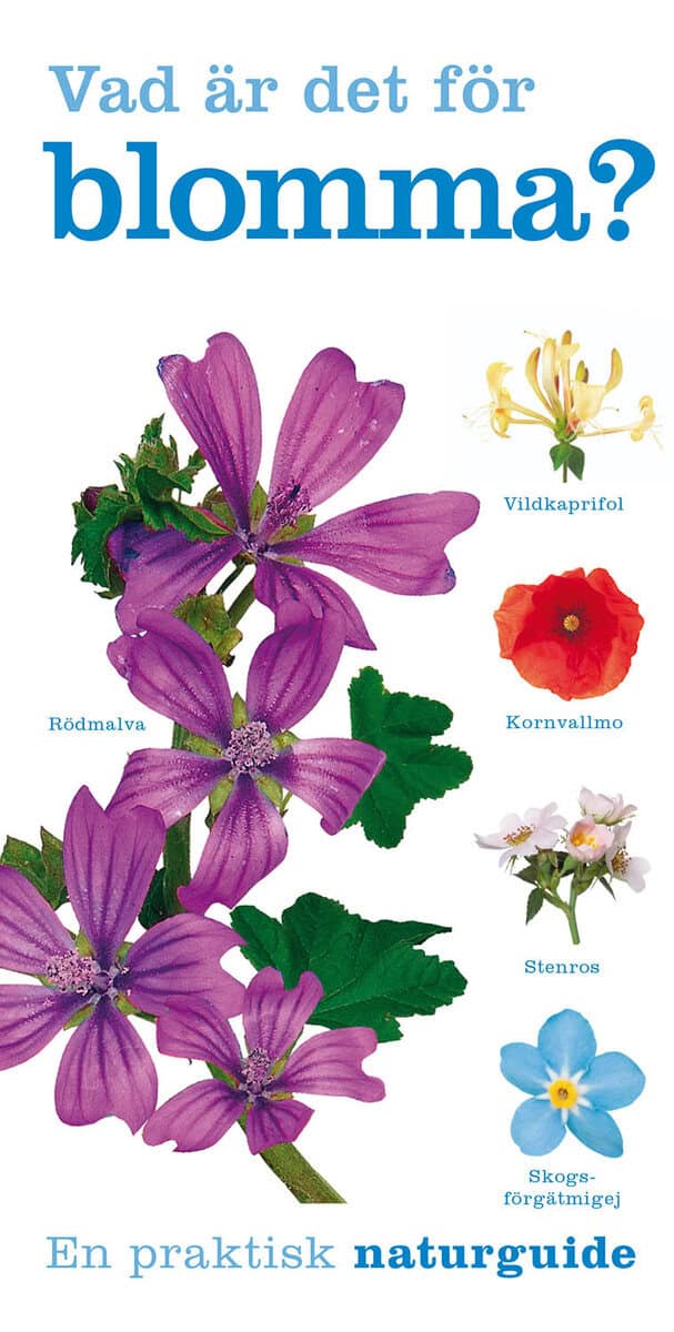 Burnie, David | Vad är det för blomma?