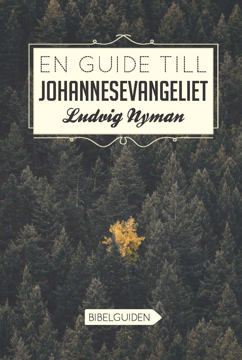 Nyman, Ludvig | En guide till Johannesevangeliet