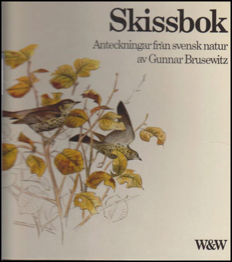 Brusewitz, Gunnar | Skissbok : Anteckningar från svensk natur