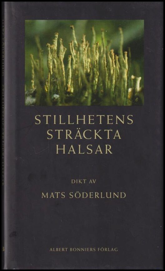 Söderlund, Mats | Stillhetens sträckta halsar : Dikt