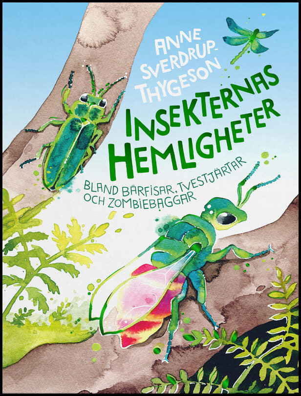 Sverdrup-Thygeson, Anne | Insekternas hemligheter : Bland bärfisar, tvestjärtar och zombiebaggar