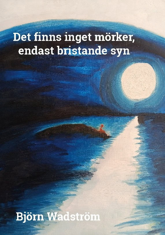 Det finns inget mörker, endast bristande syn : En ny förståelse och förklar