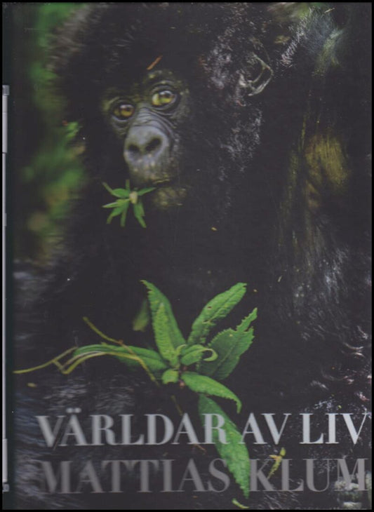 Klum, Mattias | Världar av liv