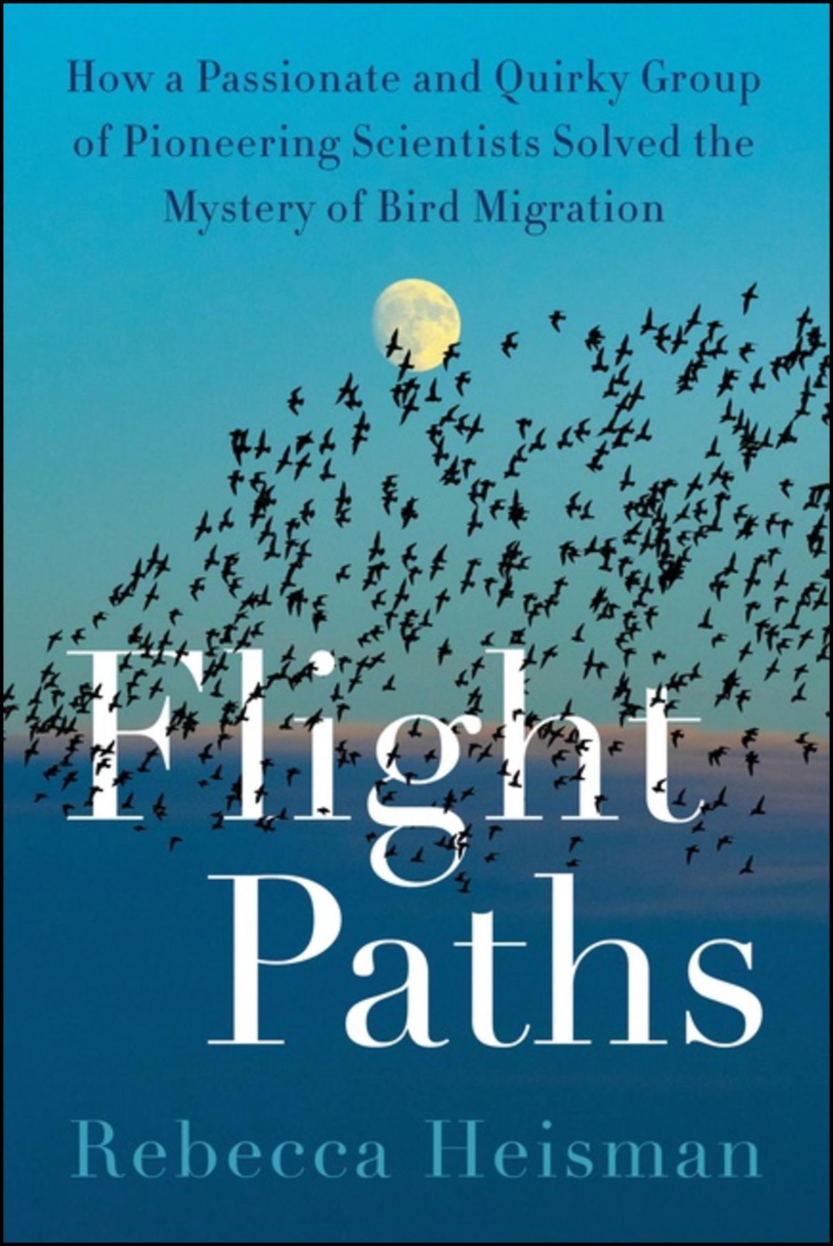 Heisman, Rebecca | Flight Paths