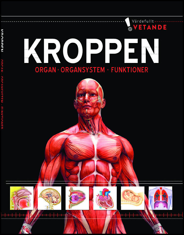 Kroppen : Organ, organsystem, funktioner