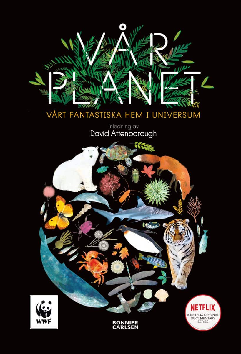 Whyman, Matt | Vår planet : Vårt fantastiska hem i universum