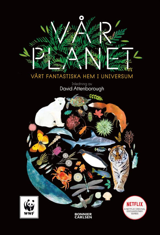 Whyman, Matt | Vår planet : Vårt fantastiska hem i universum