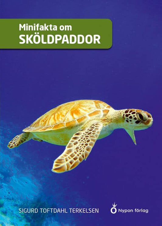 Toftdahl Terkelsen, Sigurd | Minifakta om sköldpaddor