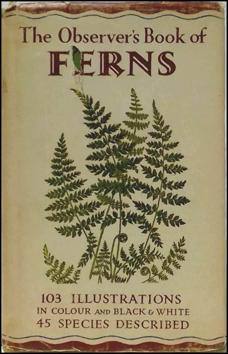 Stokoe, W. J. | The observer's book of ferns
