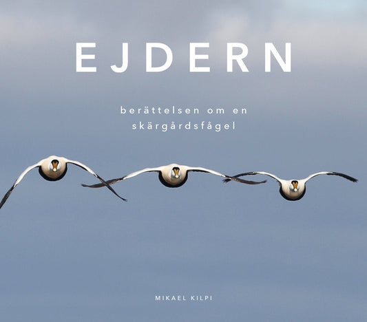 Kilpi, Mikael | Ejdern : Berättelsen om en skärgårdsfågel