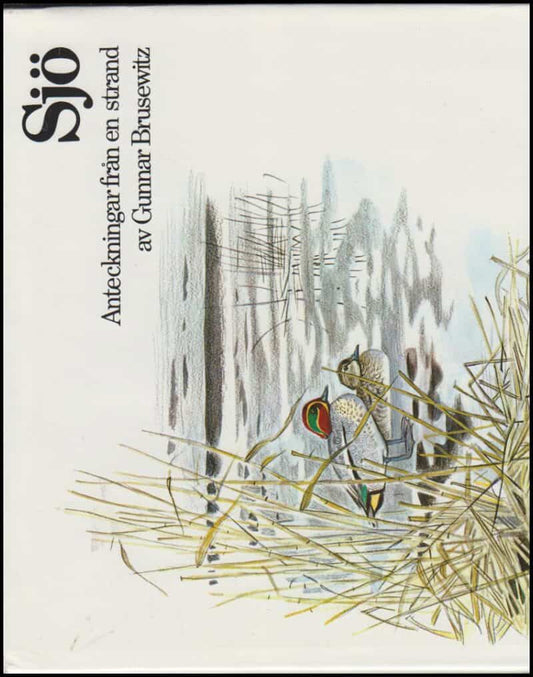 Brusewitz, Gunnar | Sjö : Anteckningar från en strand