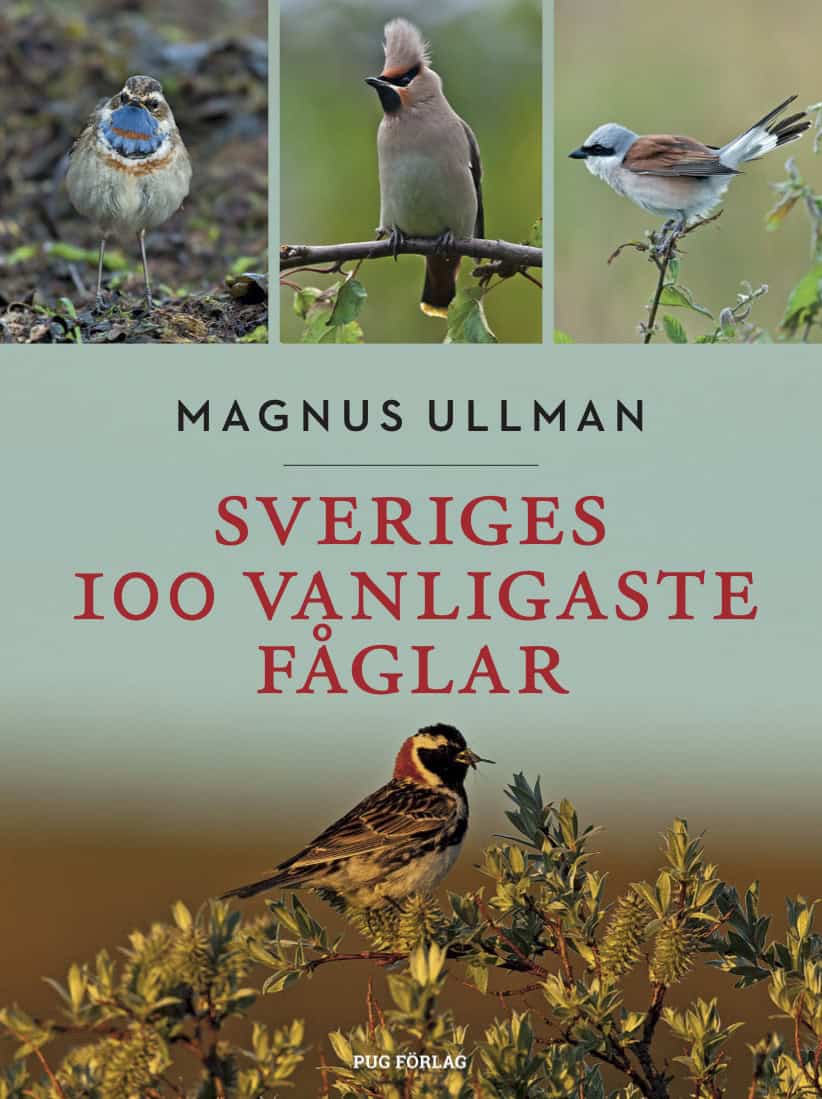 Ullman, Magnus | Sveriges 100 vanligaste fåglar