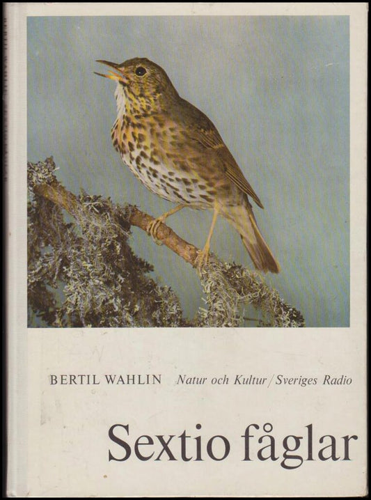 Wahlin, Bertil | Sextio fåglar