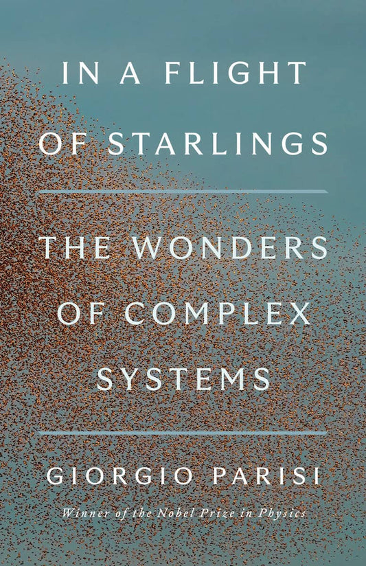 Parisi, Giorgio | In a Flight of Starlings