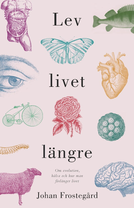 Frostegård, Johan | Lev livet längre : Om evolution, hälsa och hur man förlänger livet