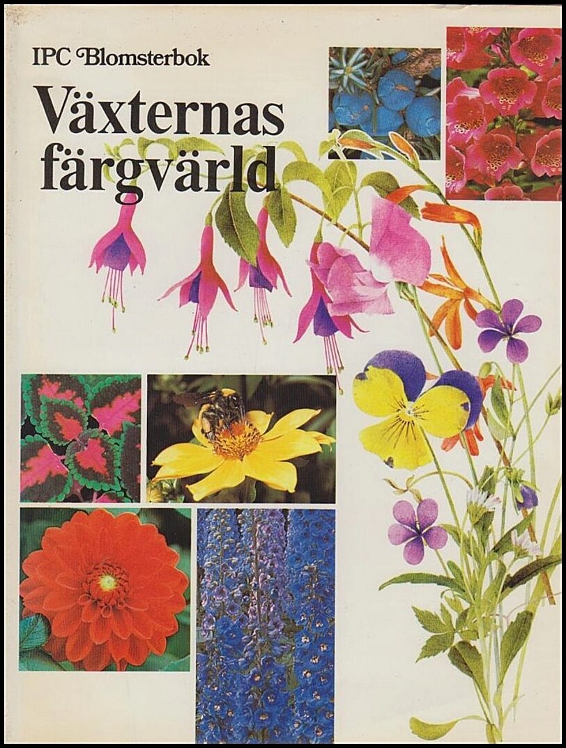 Proctor, Susan | Proctor, John | Växternas färgvärld