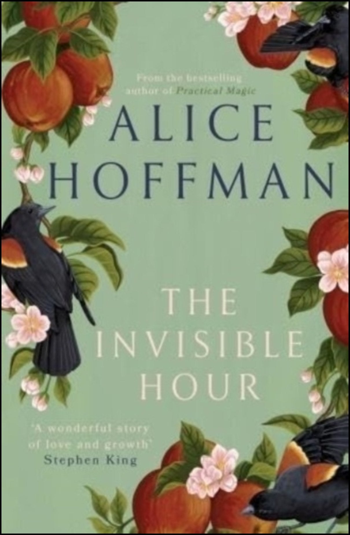 Hoffman, Alice | The Invisible Hour