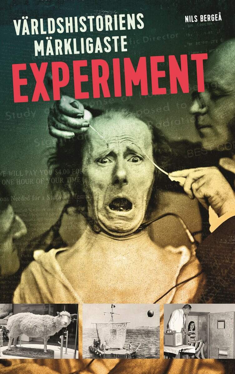 Bergeå, Nils | Världshistoriens märkligaste experiment