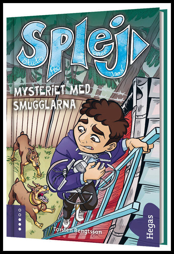 Bengtsson, Torsten | Mysteriet med smugglarna