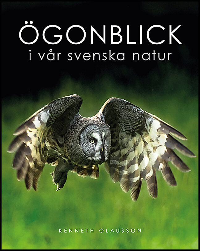Olausson, Kenneth | Ögonblick i vår svenska natur