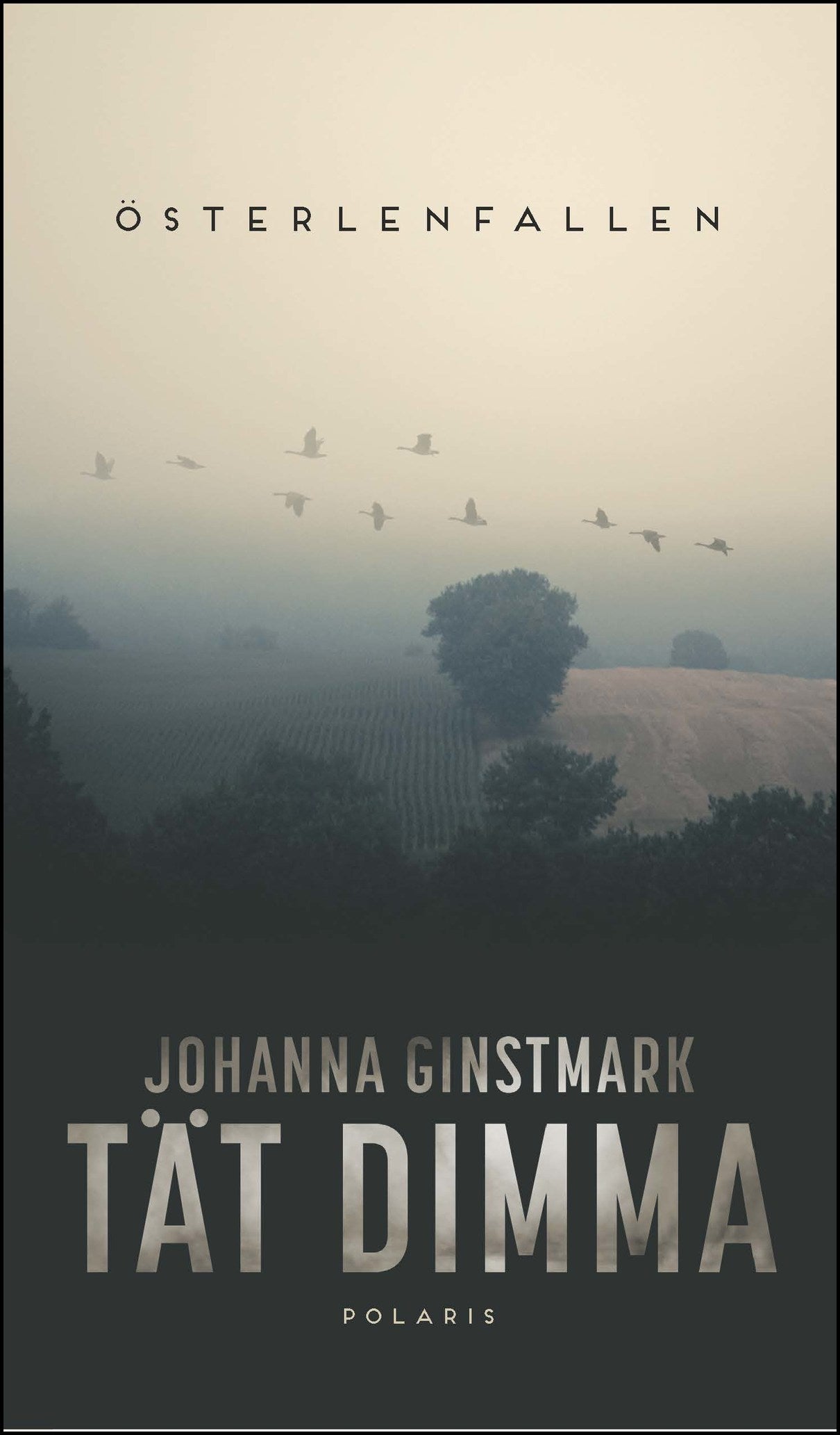 Ginstmark, Johanna | Tät dimma