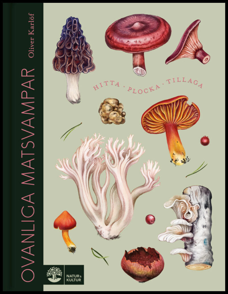 Karlöf, Oliver | Ovanliga matsvampar
