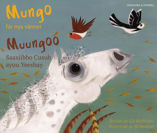 Aitchison, Gill | Mungo får nya vänner (somaliska och svenska)