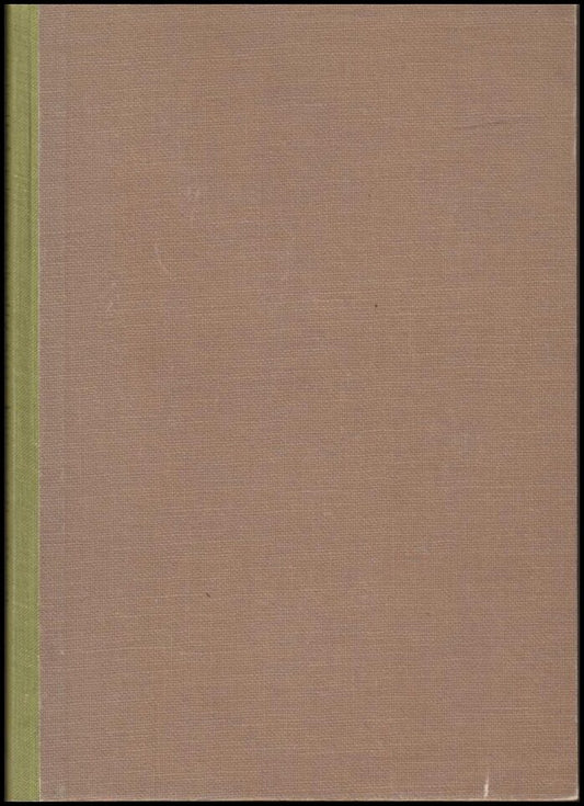 Skellefteåsockens näringsliv genom tiderna.