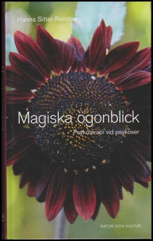 Sitter Randén, Hanna | Magiska ögonblick : Psykoterapi vid psykoser