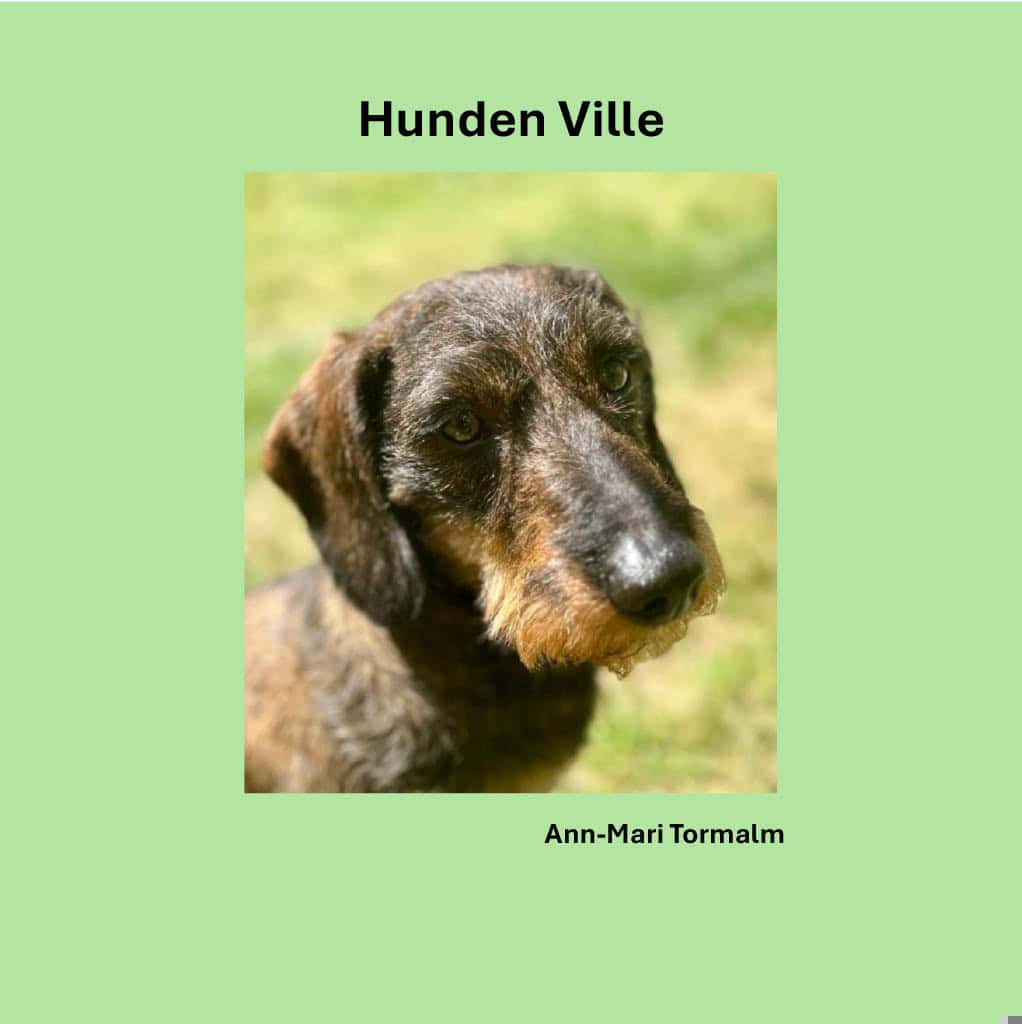 Tormalm, Ann-Mari | Hunden Ville