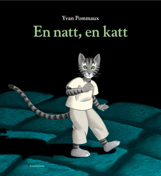 Pommaux, Yvan | En natt, en katt