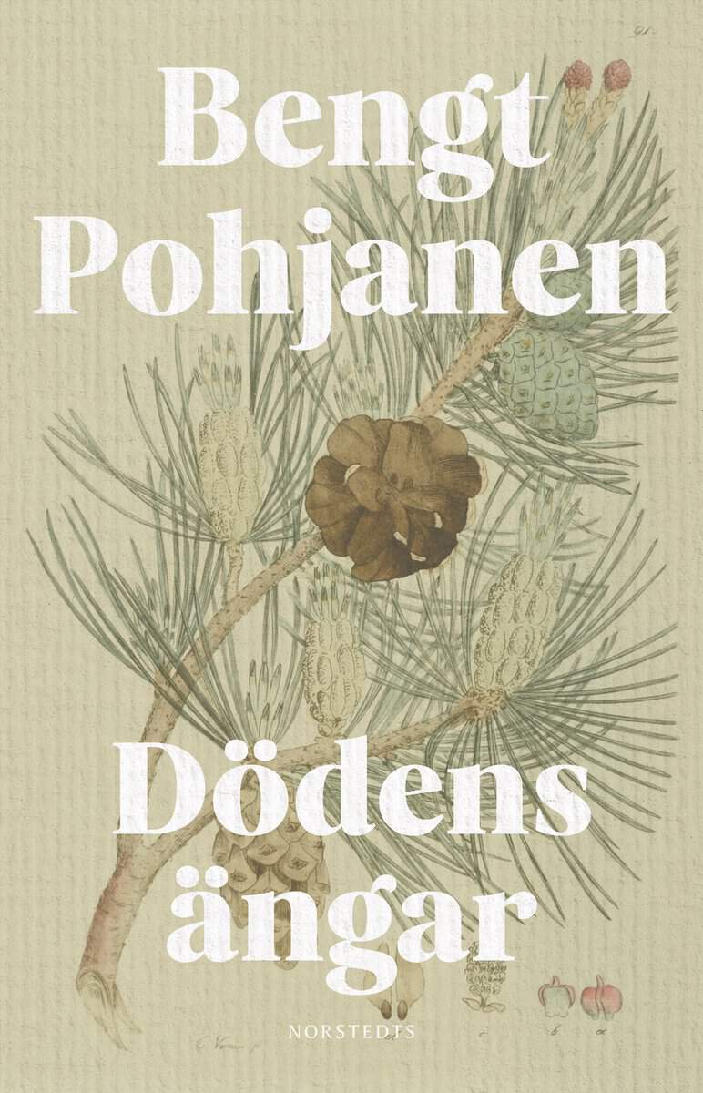 Pohjanen, Bengt | Dödens ängar