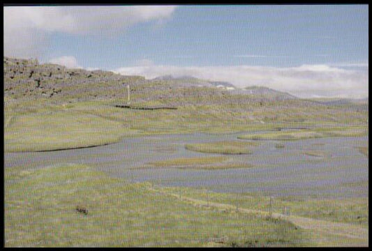 Peil, Tiina | Jones Michael (red.) | Landscape, Law and Justice