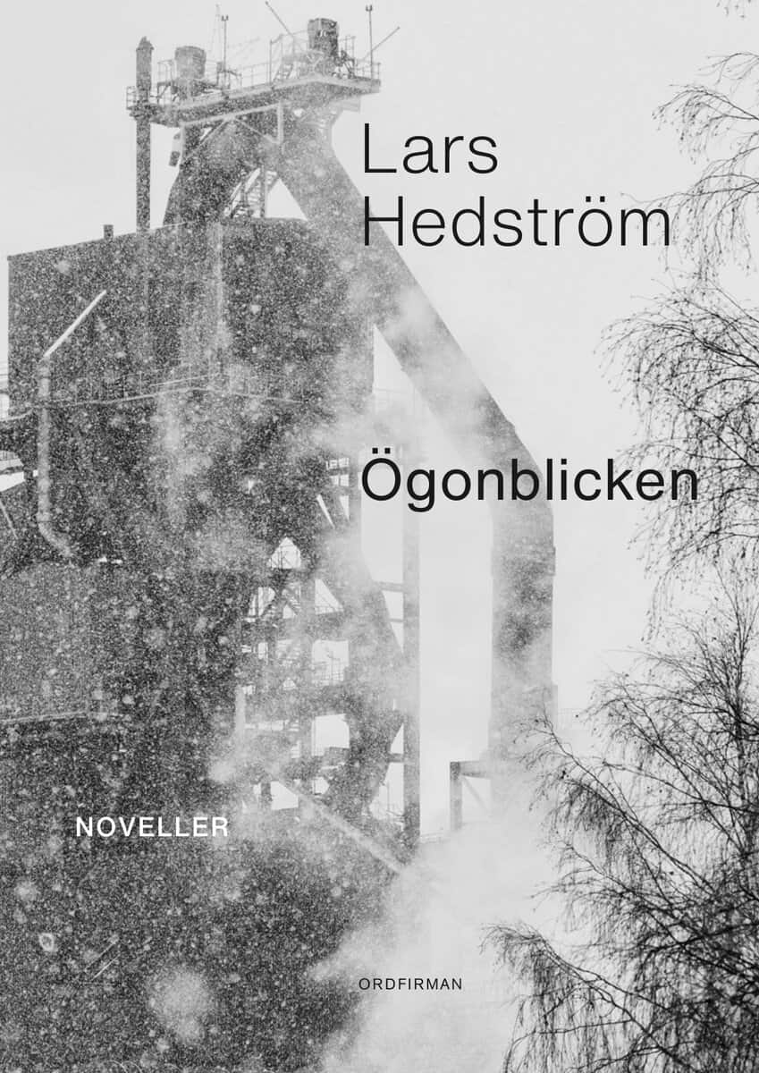 Hedström, Lars | Ögonblicken